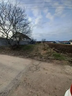 Teren de vanzare in Martinesti , 38 ARI , intravilan , 83.600 euro - imagine 3