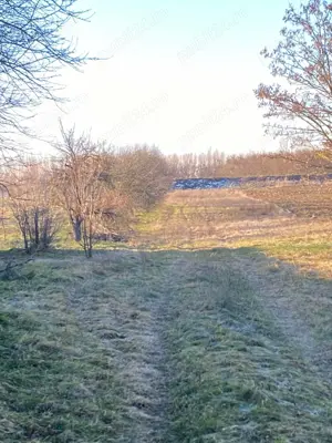 Teren de vanzare in Martinesti , 38 ARI , intravilan , 83.600 euro