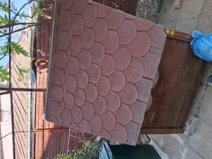 Vand cotet caine talie mare - imagine 3 Vand cotet caine talie mare - imagine 3