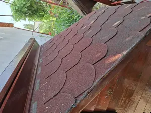 Vand cotet caine talie mare - imagine 4 Vand cotet caine talie mare - imagine 4