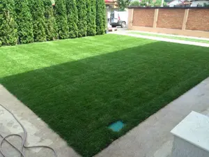 Tuns , Intretinere gazon