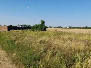 Teren de vanzare - comuna Ciorogarla - imagine 3