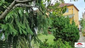 Casa D+P+E cu teren 769 mp, semicentral - Zorilor 185000 Euro - imagine 13