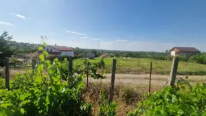 NUFARU-  TEREN INTRAVILAN , 1100 MP - imagine 2