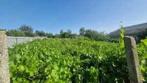 NUFARU-  TEREN INTRAVILAN , 1100 MP - imagine 4