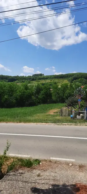 vand teren si magazie din lemn situat pe Drumul Alunisului nr 69 C - imagine 8