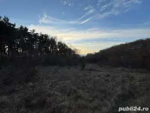 Vand teren extravilan situat intre Deva si satul Cozia