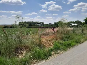 TEISORI /GR - 2 LOTURI LIPITE (TOT. 16500 MP) DE VZ 100K EUR NEG - imagine 5 TEISORI /GR - 2 LOTURI LIPITE (TOT. 16500 MP) DE VZ 100K EUR NEG - imagine 5