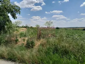 TEISORI /GR - 2 LOTURI LIPITE (TOT. 16500 MP) DE VZ 100K EUR NEG - imagine 6 TEISORI /GR - 2 LOTURI LIPITE (TOT. 16500 MP) DE VZ 100K EUR NEG - imagine 6