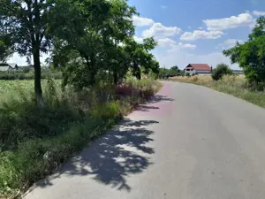 TEISORI /GR - 2 LOTURI LIPITE (TOT. 16500 MP) DE VZ 100K EUR NEG - imagine 3 TEISORI /GR - 2 LOTURI LIPITE (TOT. 16500 MP) DE VZ 100K EUR NEG - imagine 3