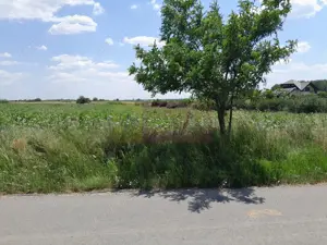 TEISORI /GR - 2 LOTURI LIPITE (TOT. 16500 MP) DE VZ 100K EUR NEG - imagine 11 TEISORI /GR - 2 LOTURI LIPITE (TOT. 16500 MP) DE VZ 100K EUR NEG - imagine 11