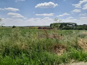 TEISORI /GR - 2 LOTURI LIPITE (TOT. 16500 MP) DE VZ 100K EUR NEG - imagine 4 TEISORI /GR - 2 LOTURI LIPITE (TOT. 16500 MP) DE VZ 100K EUR NEG - imagine 4