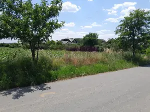 TEISORI /GR - 2 LOTURI LIPITE (TOT. 16500 MP) DE VZ 100K EUR NEG - imagine 10 TEISORI /GR - 2 LOTURI LIPITE (TOT. 16500 MP) DE VZ 100K EUR NEG - imagine 10