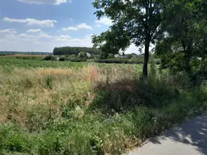 TEISORI /GR - 2 LOTURI LIPITE (TOT. 16500 MP) DE VZ 100K EUR NEG - imagine 8 TEISORI /GR - 2 LOTURI LIPITE (TOT. 16500 MP) DE VZ 100K EUR NEG - imagine 8