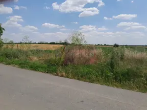 TEISORI /GR - 2 LOTURI LIPITE (TOT. 16500 MP) DE VZ 100K EUR NEG - imagine 7 TEISORI /GR - 2 LOTURI LIPITE (TOT. 16500 MP) DE VZ 100K EUR NEG - imagine 7