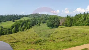 Teren 130000 mp extravilan, faneata si padure, Munteni - Bulz, Negreni - imagine 15