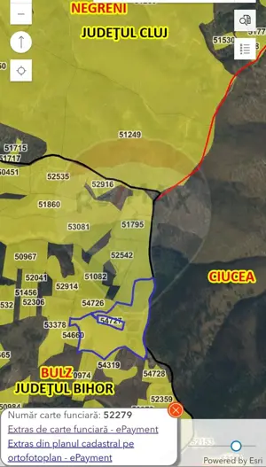 Teren 130000 mp extravilan, faneata si padure, Munteni - Bulz, Negreni - imagine 3