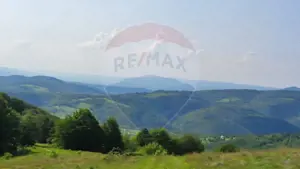 Teren 130000 mp extravilan, faneata si padure, Munteni - Bulz, Negreni - imagine 17