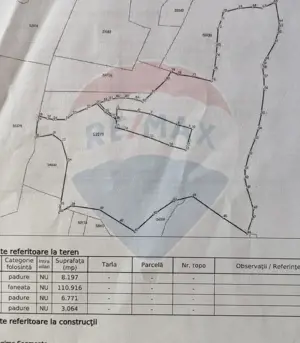 Teren 130000 mp extravilan, faneata si padure, Munteni - Bulz, Negreni - imagine 12