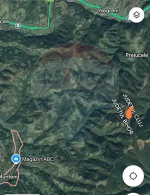 Teren 130000 mp extravilan, faneata si padure, Munteni - Bulz, Negreni - imagine 6