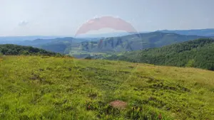 Teren 130000 mp extravilan, faneata si padure, Munteni - Bulz, Negreni - imagine 11