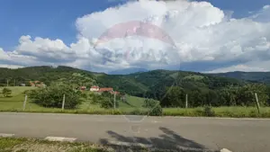 Teren 130000 mp extravilan, faneata si padure, Munteni - Bulz, Negreni - imagine 8