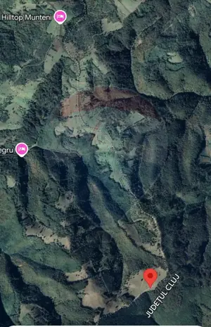 Teren 130000 mp extravilan, faneata si padure, Munteni - Bulz, Negreni - imagine 5
