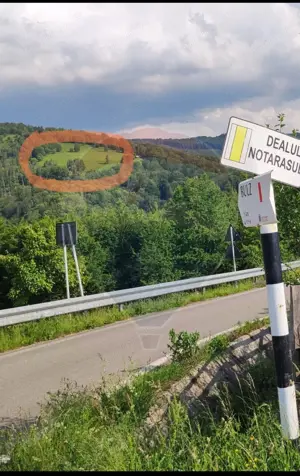 Teren 130000 mp extravilan, faneata si padure, Munteni - Bulz, Negreni - imagine 7
