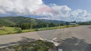 Teren 130000 mp extravilan, faneata si padure, Munteni - Bulz, Negreni - imagine 9