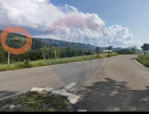 Teren 130000 mp extravilan, faneata si padure, Munteni - Bulz, Negreni - imagine 10