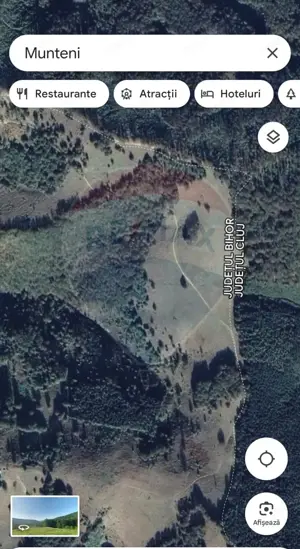 Teren 130000 mp extravilan, faneata si padure, Munteni - Bulz, Negreni - imagine 18