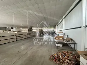 Hala 1400 mp, de inchiriat, depozitare, acces TIR, C. Lugojului. - imagine 2