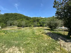 Casa cu 2 camere 53 mp in Lesnic, COMISION 0 PENTRU CUMPARATOR - imagine 9