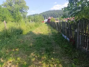 Teren intravilan Mănăstirea Cașin 3200 mp cadastru acte la zi - imagine 4