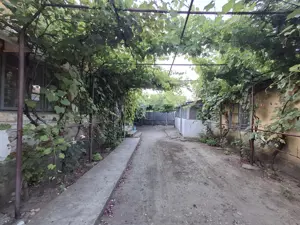 Casa de vânzare comuna Diosti Dolj 41km de Craiova, 12km de Caracal - imagine 5