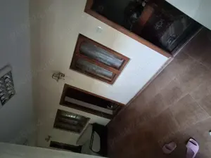 Casa de vânzare comuna Diosti Dolj 41km de Craiova, 12km de Caracal - imagine 2