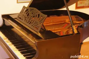 Pian Ant Petrof - imagine 3