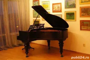 Pian Ant Petrof - imagine 4