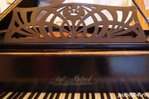 Pian Ant Petrof - imagine 5