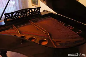 Pian Ant Petrof - imagine 2