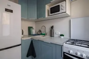 Inchiriere apartament cu 2 camere in zona Basarab - imagine 5