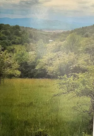 Teren de Vanzare - 4 hectare. Gusterita - Sibiu