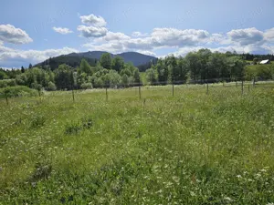 De vanzare Teren intravilan cu casa si anexe in Bucovina Moldova Sulita - imagine 3