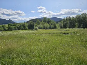 De vanzare Teren intravilan cu casa si anexe in Bucovina Moldova Sulita - imagine 5