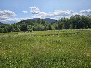 De vanzare Teren intravilan cu casa si anexe in Bucovina Moldova Sulita - imagine 4