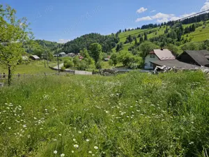 Casa de vanzare in Bucovina Zona Breaza de Sus - imagine 14