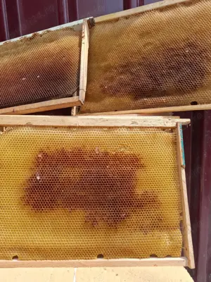 vand rame stupi cladite