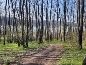 Vând teren 585 mp pe malul lacului Ianova. 30 de euro mp - imagine 4 Vând teren 585 mp pe malul lacului Ianova. 30 de euro mp - imagine 4