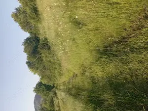 Vânzare teren intravilan - imagine 3