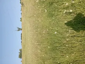 Vânzare teren intravilan